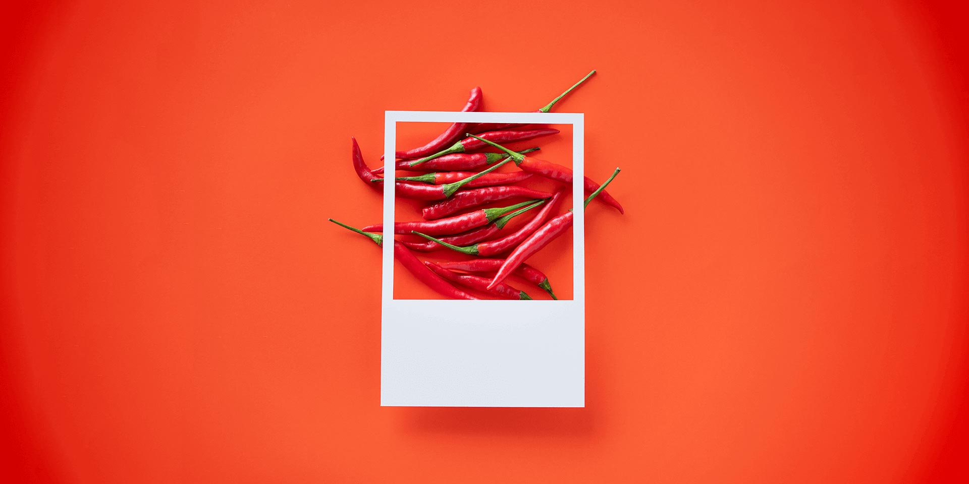 Social Profile Banner for startups